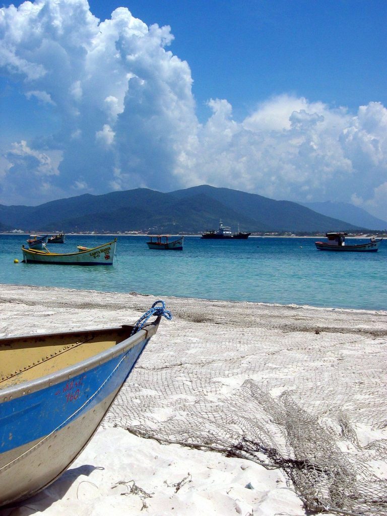 WhatsApp Image 2025-11-13 at 23.40.31