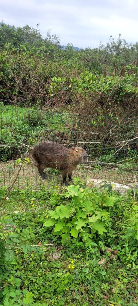 6896925e-328b-4b8e-8c25-4ba56eb84731