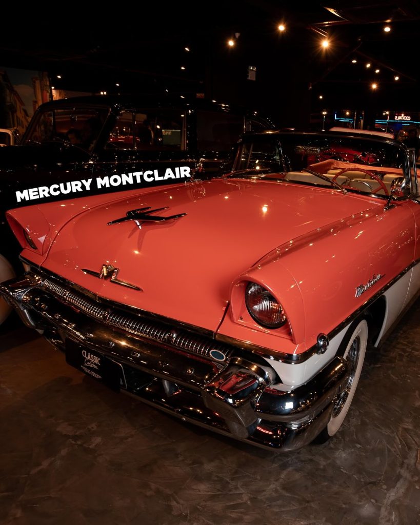 SaveClip.App_504082924_18055646807354549_3655515373620545563_n