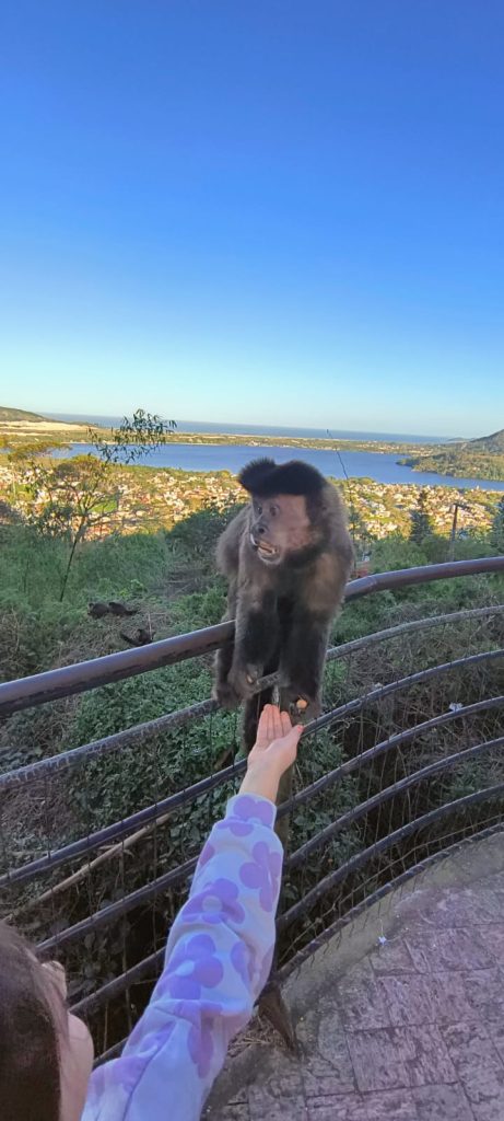 WhatsApp Image 2025-11-05 at 10.25.25