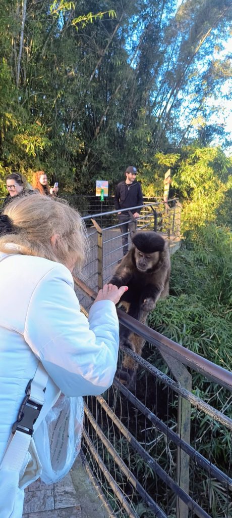 WhatsApp Image 2025-11-05 at 10.25.49