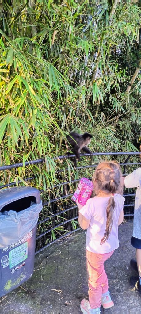 WhatsApp Image 2025-11-05 at 10.26.14