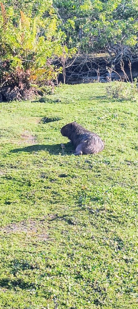 WhatsApp Image 2025-11-05 at 10.26.16 (1)