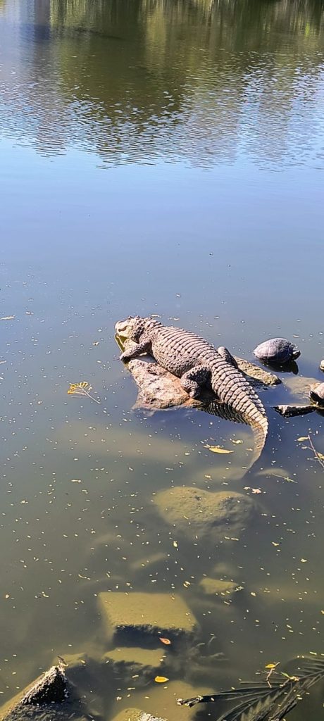 WhatsApp Image 2025-11-05 at 10.26.19