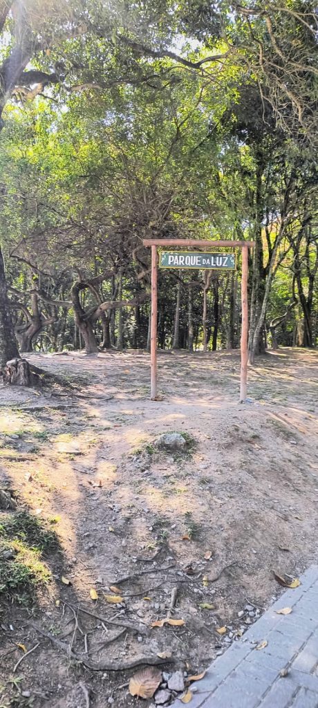 WhatsApp Image 2025-11-05 at 10.26.21