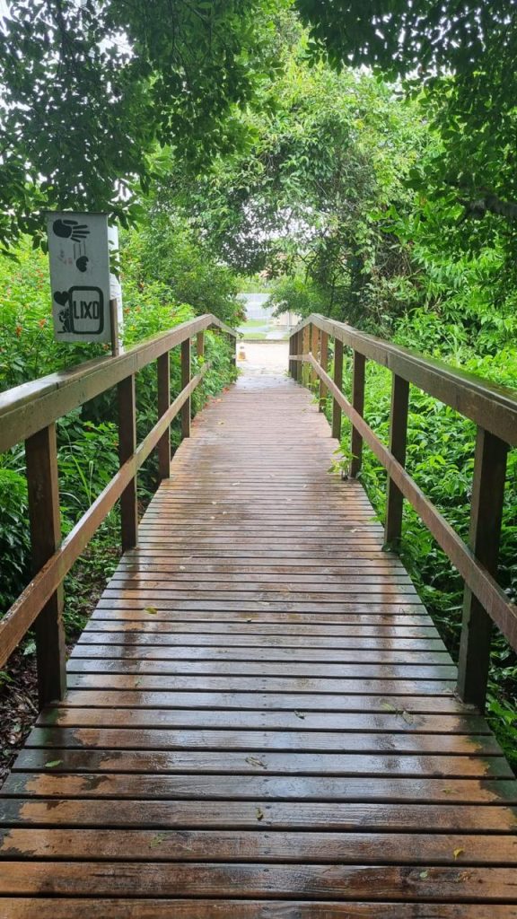 WhatsApp Image 2025-11-05 at 14.25.04 (2)