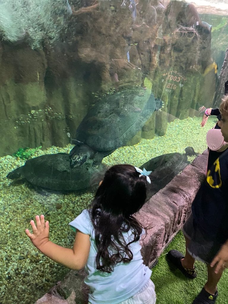 WhatsApp Image 2025-11-17 at 23.46.11